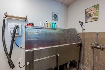 Pet grooming center